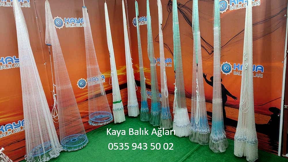 Balik ağ 1