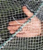 Dere Akarsu Serpme Ağı