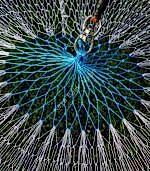 Dere Akarsu Serpme Ağı