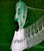 Misina Torba İp Serpme Ağ 5 Kg