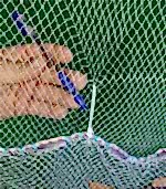 Yemlik Gümüş Serpmesi Torbalı