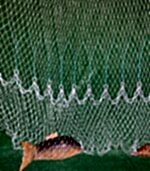 Zincirli İp Örgü Serpme Ağ 5 Kg