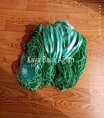 Germe Ağ - 36 mm - Misina - Fanyalı - 20 Metre